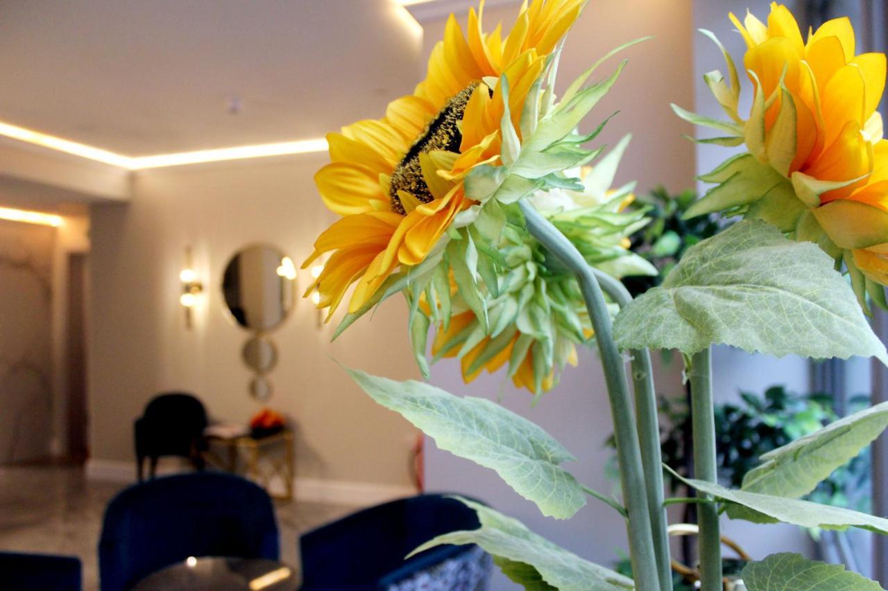 Nox Waterloo Aparthotel London Exterior photo